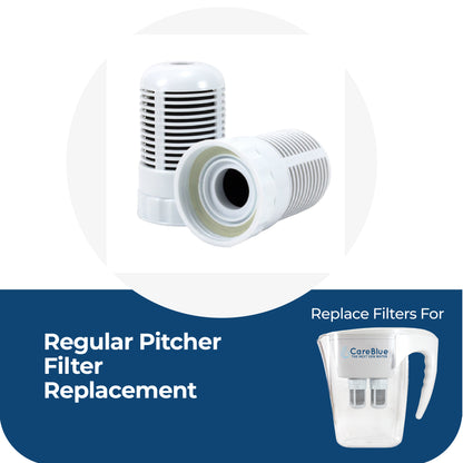 Regular Pitcher Filter Replacement